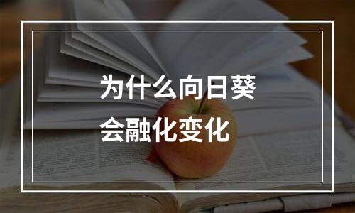 为什么向日葵会融化变化