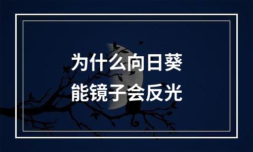为什么向日葵能镜子会反光