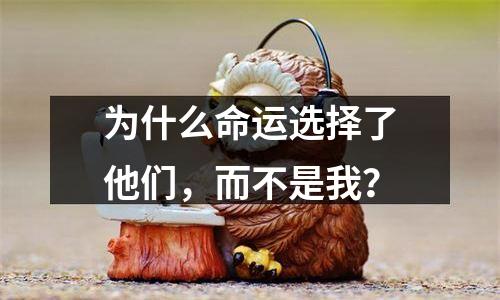 为什么命运选择了他们，而不是我？
