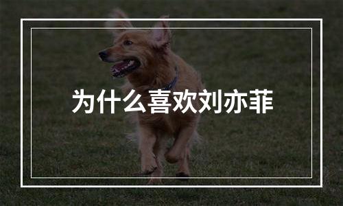 为什么喜欢刘亦菲