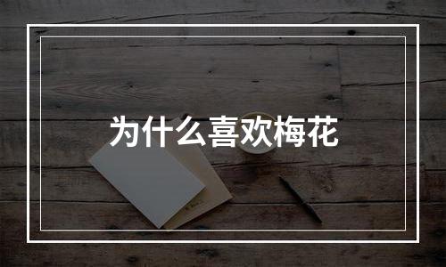 为什么喜欢梅花