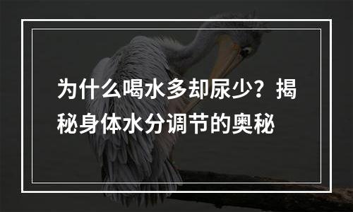 为什么喝水多却尿少？揭秘身体水分调节的奥秘