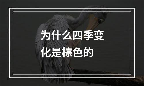 为什么四季变化是棕色的