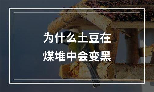 为什么土豆在煤堆中会变黑