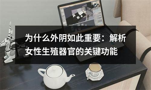 为什么外阴如此重要：解析女性生殖器官的关键功能