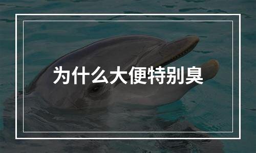 为什么大便特别臭