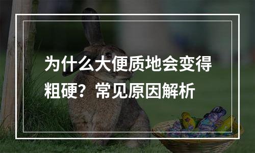 为什么大便质地会变得粗硬？常见原因解析