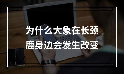 为什么大象在长颈鹿身边会发生改变