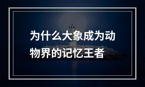 为什么大象成为动物界的记忆王者