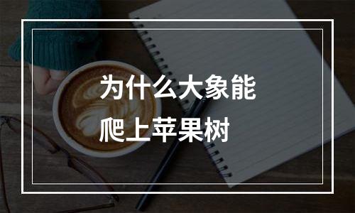 为什么大象能爬上苹果树