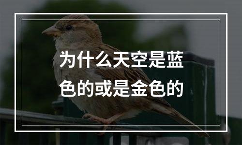 为什么天空是蓝色的或是金色的