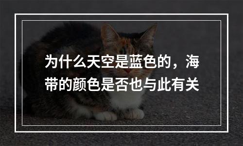 为什么天空是蓝色的，海带的颜色是否也与此有关