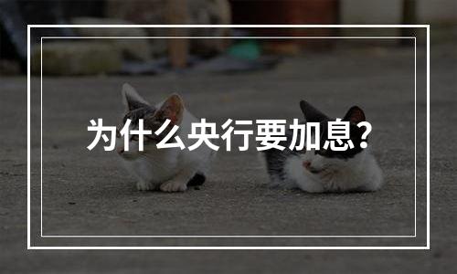 为什么央行要加息？