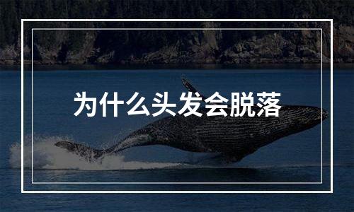 为什么头发会脱落