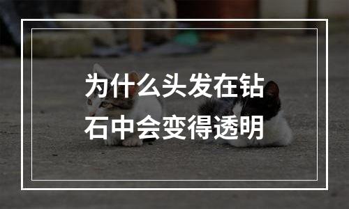 为什么头发在钻石中会变得透明