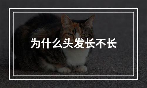 为什么头发长不长