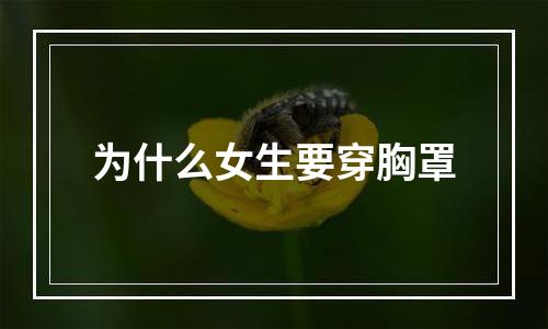 为什么女生要穿胸罩