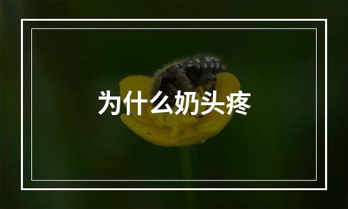 为什么奶头疼