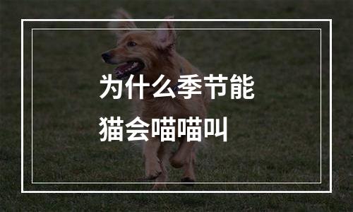 为什么季节能猫会喵喵叫