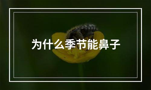 为什么季节能鼻子