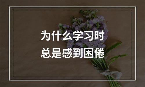 为什么学习时总是感到困倦