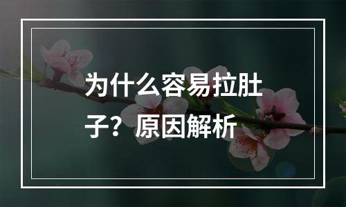 为什么容易拉肚子？原因解析
