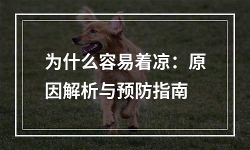 为什么容易着凉：原因解析与预防指南