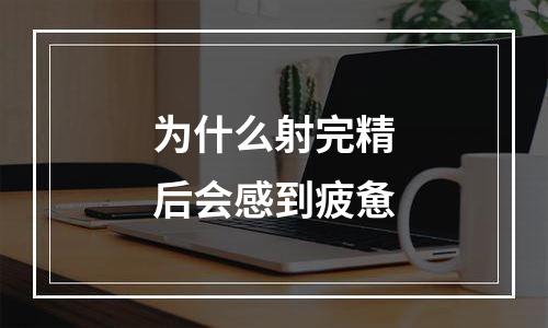 为什么射完精后会感到疲惫