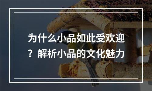 为什么小品如此受欢迎？解析小品的文化魅力