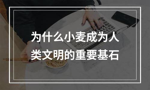 为什么小麦成为人类文明的重要基石