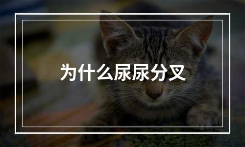 为什么尿尿分叉