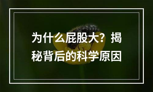 为什么屁股大？揭秘背后的科学原因