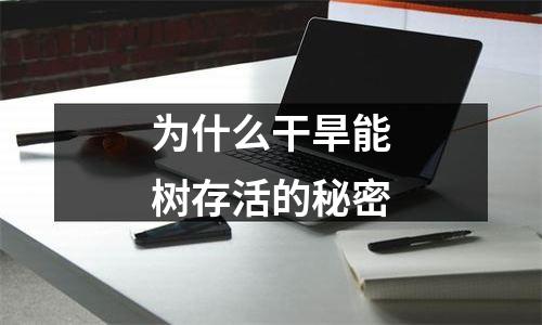 为什么干旱能树存活的秘密