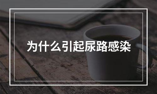 为什么引起尿路感染