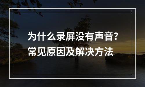 为什么录屏没有声音？常见原因及解决方法