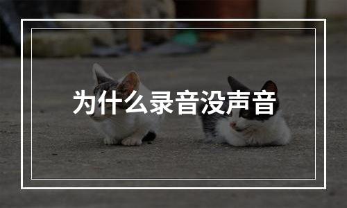 为什么录音没声音