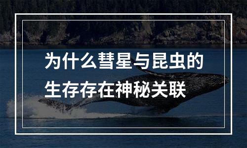 为什么彗星与昆虫的生存存在神秘关联