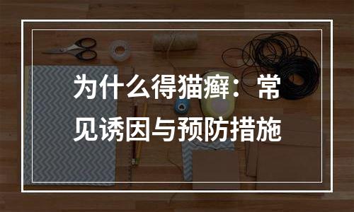为什么得猫癣：常见诱因与预防措施