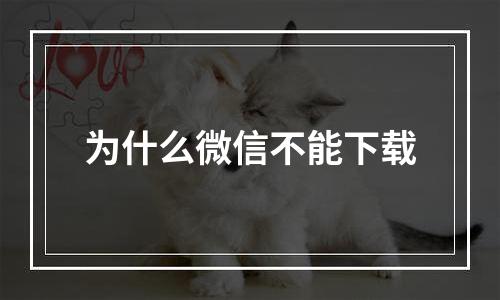 为什么微信不能下载