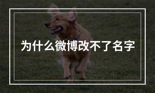 为什么微博改不了名字