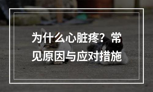 为什么心脏疼？常见原因与应对措施