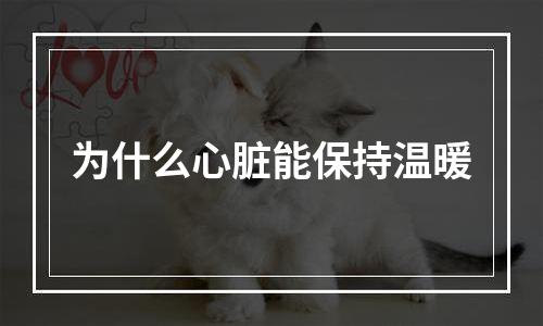 为什么心脏能保持温暖