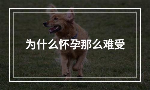 为什么怀孕那么难受