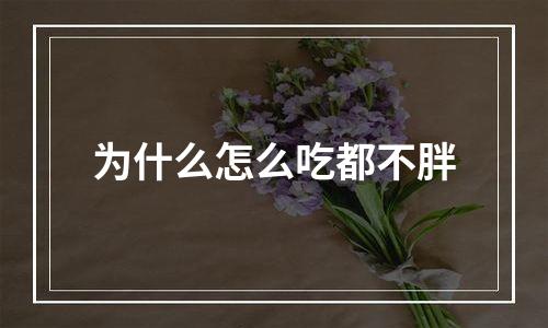 为什么怎么吃都不胖