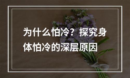 为什么怕冷？探究身体怕冷的深层原因