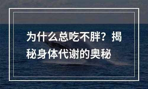 为什么总吃不胖？揭秘身体代谢的奥秘