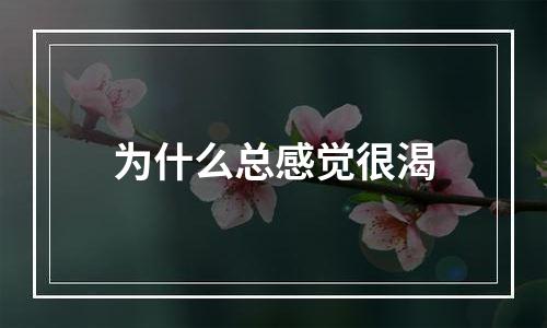 为什么总感觉很渴