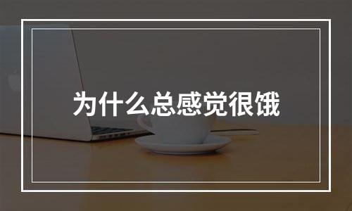 为什么总感觉很饿
