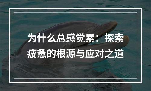 为什么总感觉累：探索疲惫的根源与应对之道
