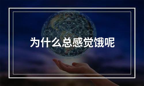 为什么总感觉饿呢